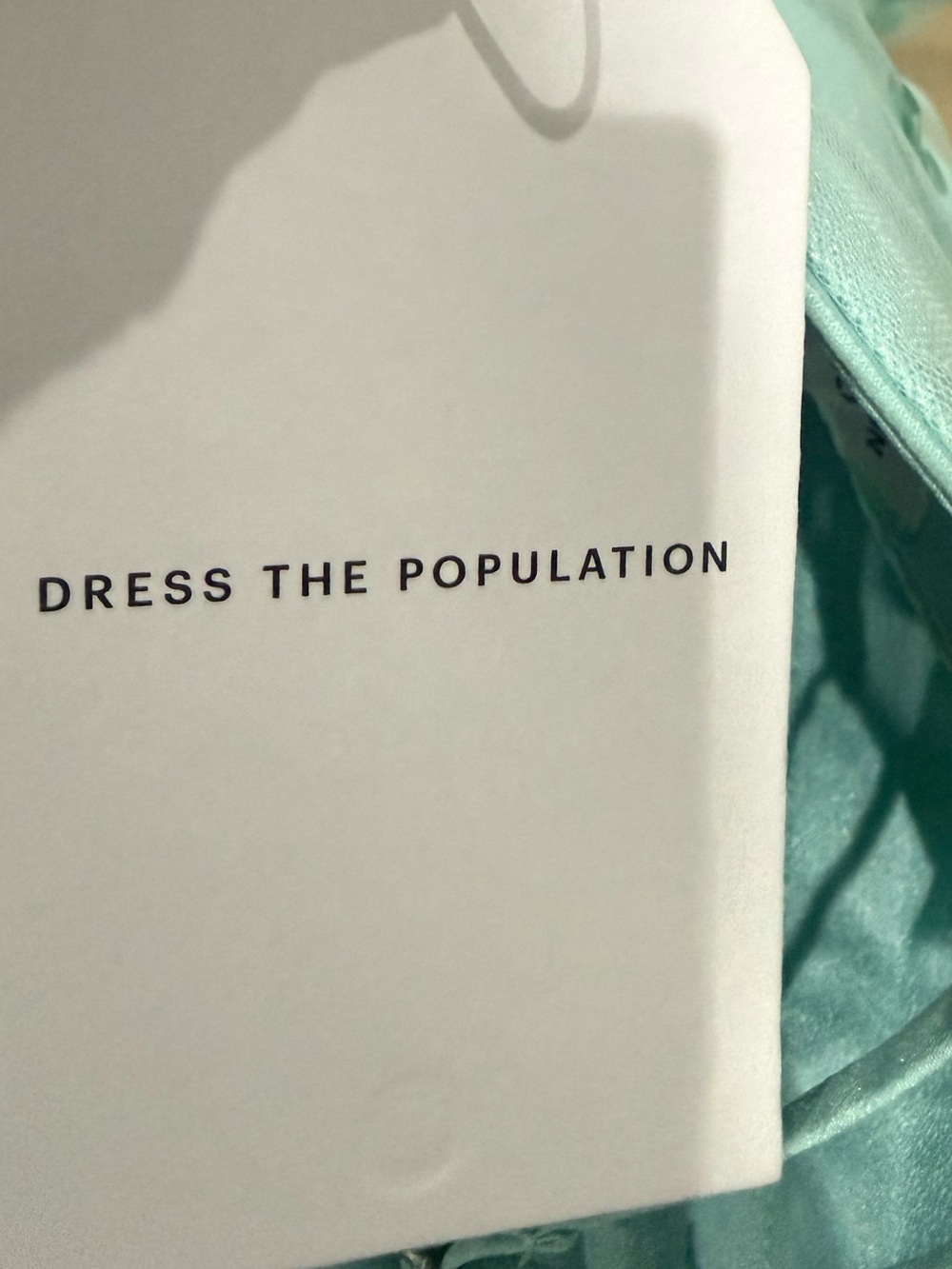 Dress the Population Mint Green Spaghetti-Strap Embroidered Midi Dress - Picture 2 of 7